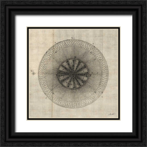 Cross Cut IV Black Ornate Wood Framed Art Print with Double Matting by Butler, John