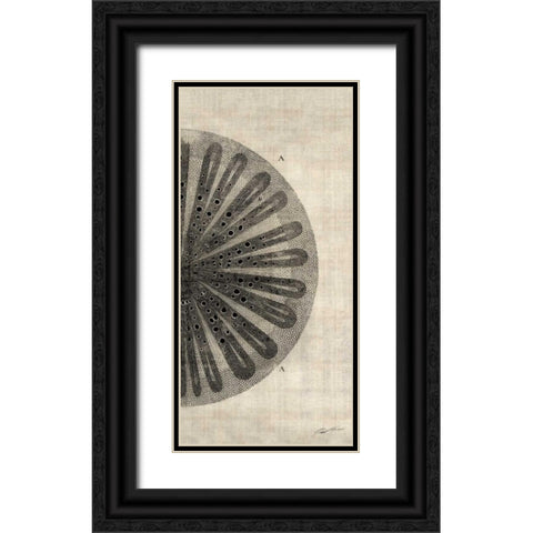 Cross Cut III Right Black Ornate Wood Framed Art Print with Double Matting by Butler, John