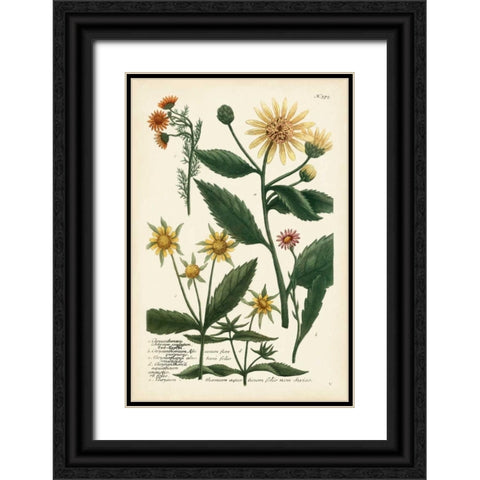 Saffron Garden I Black Ornate Wood Framed Art Print with Double Matting by Weinmann