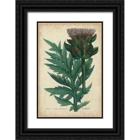 Weinmann Foliage and Fruit II Black Ornate Wood Framed Art Print with Double Matting by Weinmann