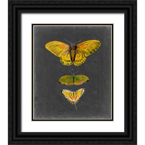 Butterflies on Slate I Black Ornate Wood Framed Art Print with Double Matting by McCavitt, Naomi