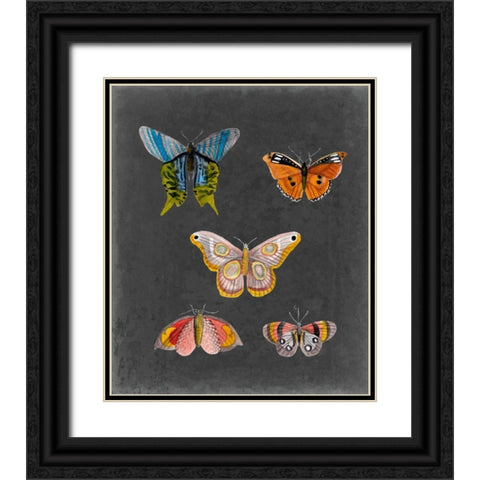 Butterflies on Slate II Black Ornate Wood Framed Art Print with Double Matting by McCavitt, Naomi