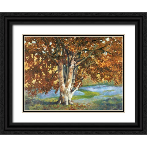 Golden Light II Black Ornate Wood Framed Art Print with Double Matting by Reynolds, Graham