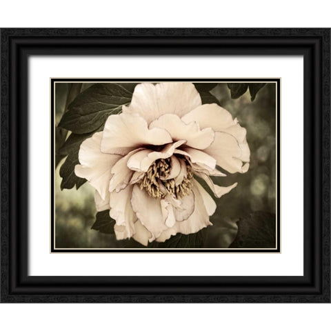 Golden Era Peony IV Black Ornate Wood Framed Art Print with Double Matting by Perry, Rachel