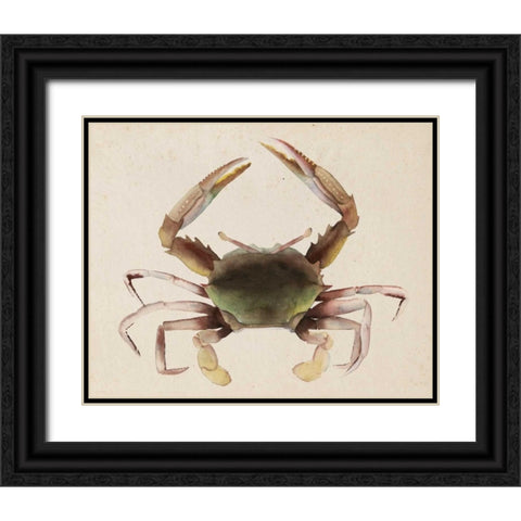Sea Dweller IV Black Ornate Wood Framed Art Print with Double Matting by Popp, Grace