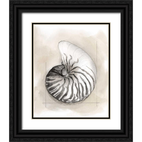 Shell Schematic II Black Ornate Wood Framed Art Print with Double Matting by Meagher, Megan