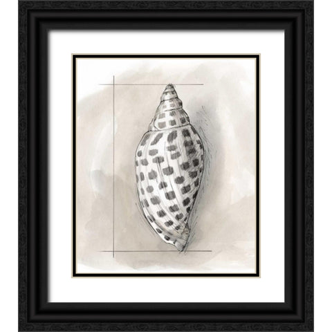 Shell Schematic IV Black Ornate Wood Framed Art Print with Double Matting by Meagher, Megan