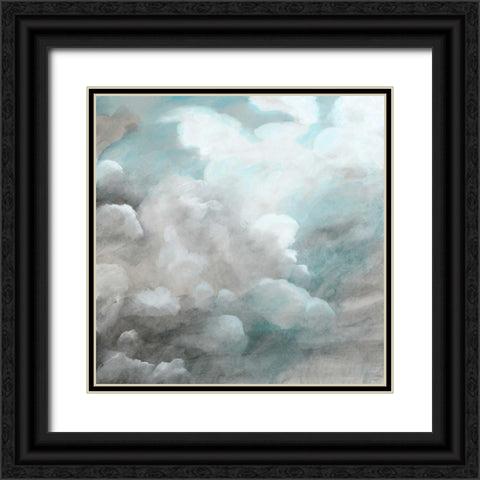 Cloud Study IV Black Ornate Wood Framed Art Print with Double Matting by McCavitt, Naomi