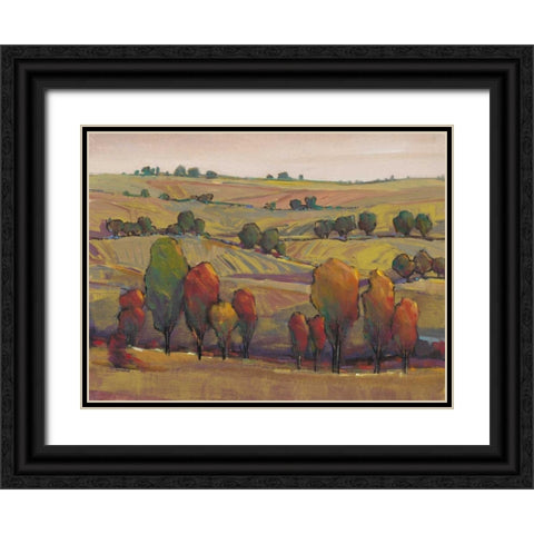 Rolling Hills I Black Ornate Wood Framed Art Print with Double Matting by OToole, Tim
