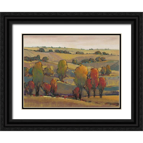 Rolling Hills II Black Ornate Wood Framed Art Print with Double Matting by OToole, Tim