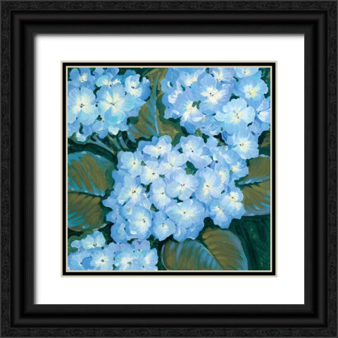 Blue Hydrangeas I Black Ornate Wood Framed Art Print with Double Matting by OToole, Tim