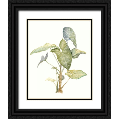 Tropical Watercolor Leaves IV Black Ornate Wood Framed Art Print with Double Matting by Meagher, Megan
