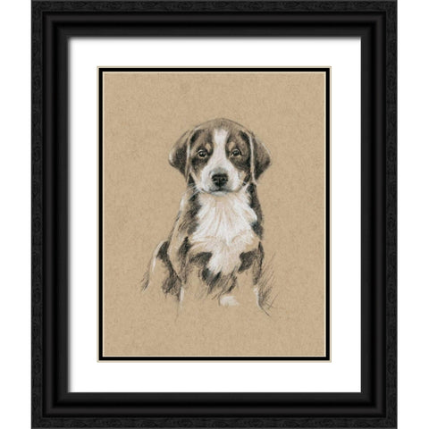 Breed Sketches II Black Ornate Wood Framed Art Print with Double Matting by Harper, Ethan