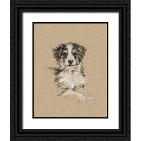 Breed Sketches IV Black Ornate Wood Framed Art Print with Double Matting by Harper, Ethan