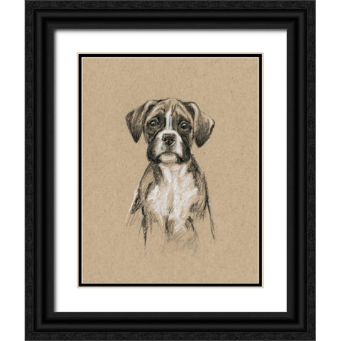 Breed Sketches V Black Ornate Wood Framed Art Print with Double Matting by Harper, Ethan