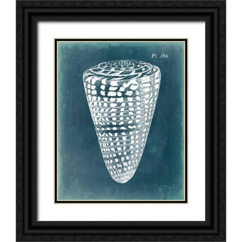Azure Shell I Black Ornate Wood Framed Art Print with Double Matting by Vision Studio