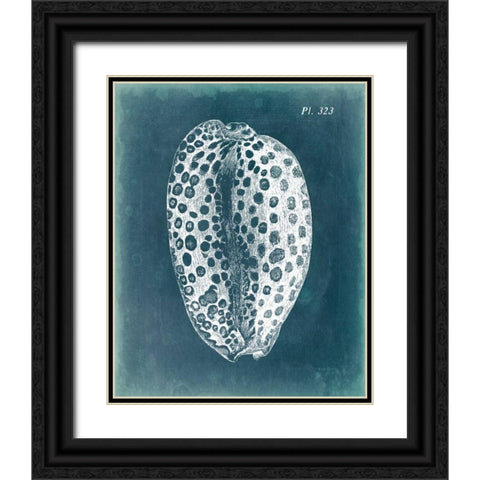 Azure Shell II Black Ornate Wood Framed Art Print with Double Matting by Vision Studio