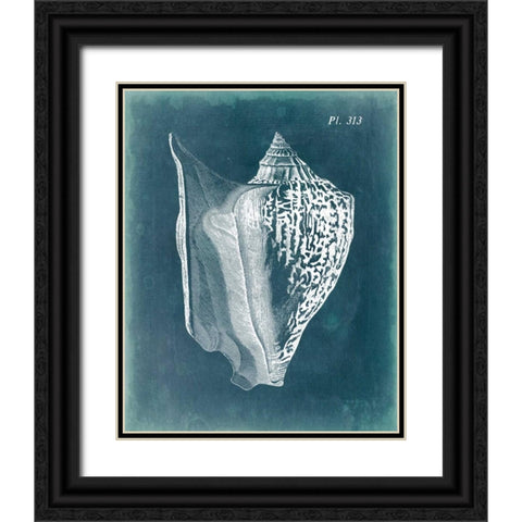 Azure Shell III Black Ornate Wood Framed Art Print with Double Matting by Vision Studio