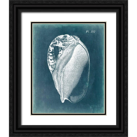 Azure Shell IV Black Ornate Wood Framed Art Print with Double Matting by Vision Studio