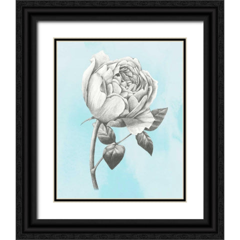 Graphite Rose II Black Ornate Wood Framed Art Print with Double Matting by Popp, Grace