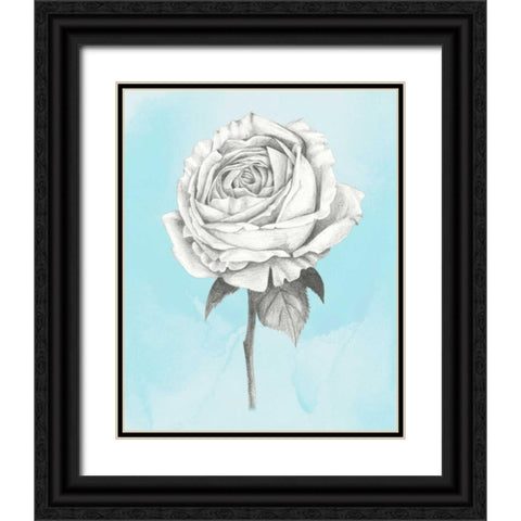 Graphite Rose IV Black Ornate Wood Framed Art Print with Double Matting by Popp, Grace