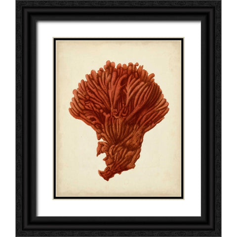 Antique Red Coral I Black Ornate Wood Framed Art Print with Double Matting by Vision Studio