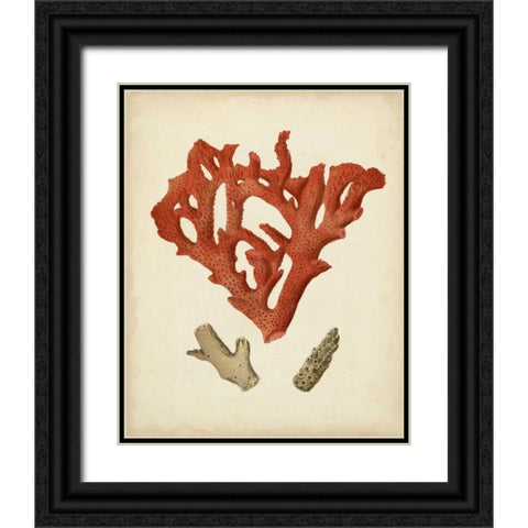Antique Red Coral II Black Ornate Wood Framed Art Print with Double Matting by Vision Studio
