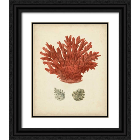 Antique Red Coral III Black Ornate Wood Framed Art Print with Double Matting by Vision Studio