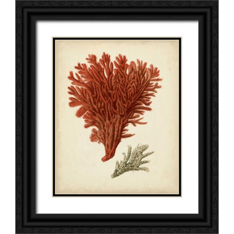 Antique Red Coral V Black Ornate Wood Framed Art Print with Double Matting by Vision Studio