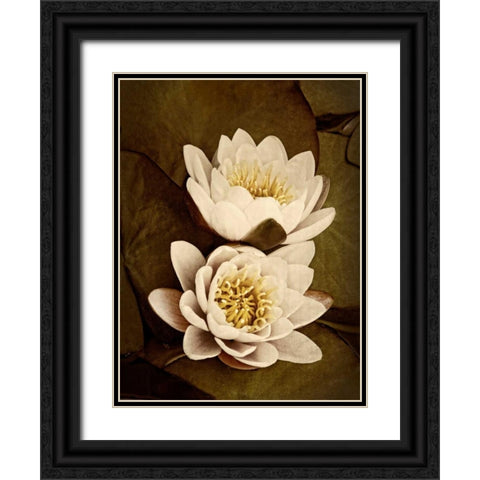Lily Pad Duo Black Ornate Wood Framed Art Print with Double Matting by Perry, Rachel