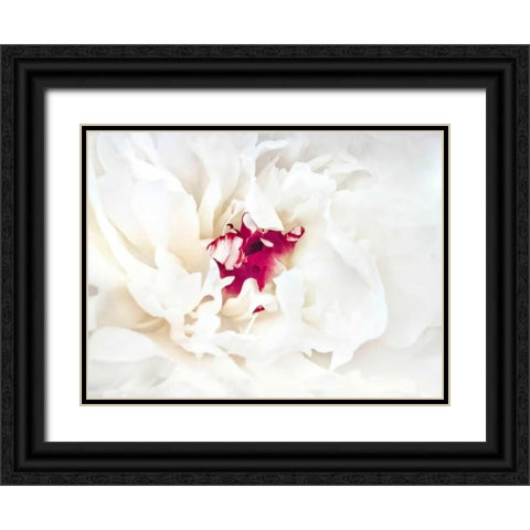 White Linen Peony II Black Ornate Wood Framed Art Print with Double Matting by Perry, Rachel