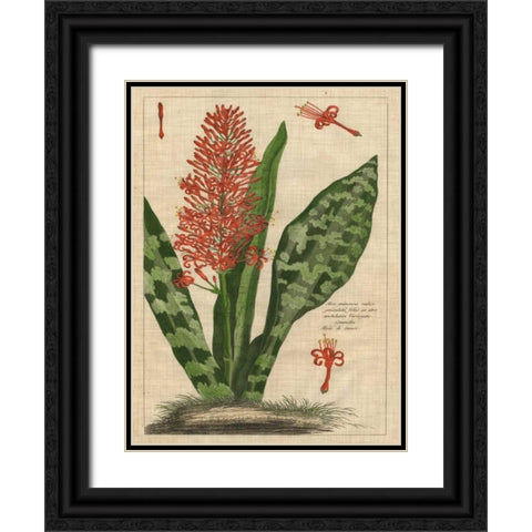 Botanical Study on Linen I Black Ornate Wood Framed Art Print with Double Matting by Vision Studio