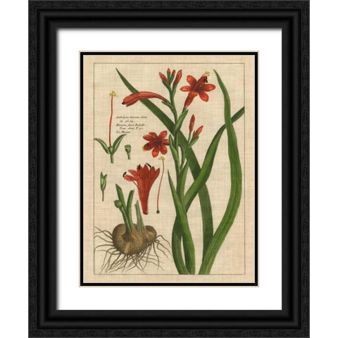 Botanical Study on Linen II Black Ornate Wood Framed Art Print with Double Matting by Vision Studio