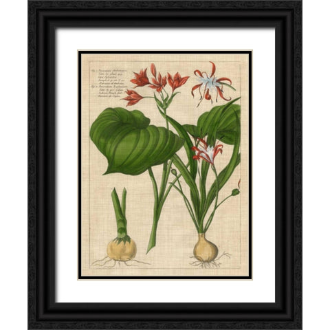 Botanical Study on Linen V Black Ornate Wood Framed Art Print with Double Matting by Vision Studio