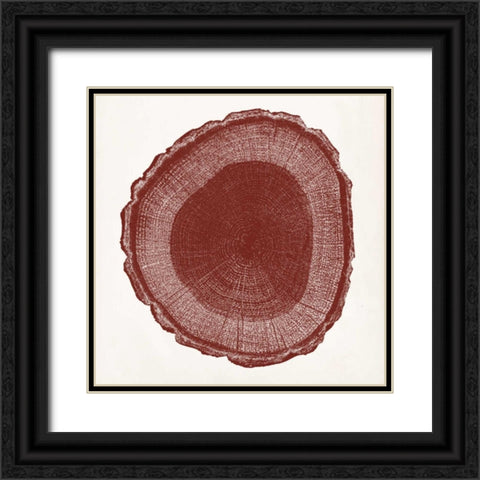 Tree Ring I Black Ornate Wood Framed Art Print with Double Matting by Vision Studio