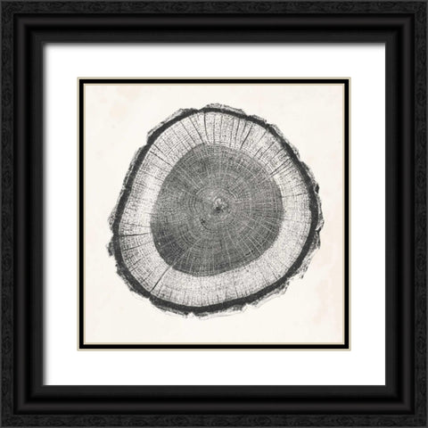 Tree Ring II Black Ornate Wood Framed Art Print with Double Matting by Vision Studio