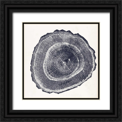 Tree Ring III Black Ornate Wood Framed Art Print with Double Matting by Vision Studio