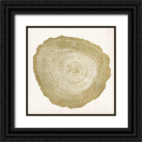Tree Ring IV Black Ornate Wood Framed Art Print with Double Matting by Vision Studio