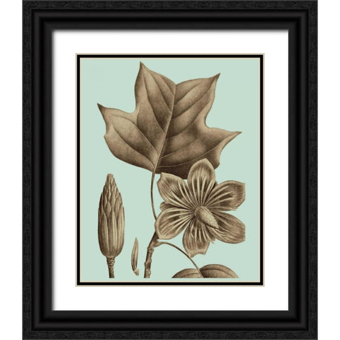 Flowering Trees I Black Ornate Wood Framed Art Print with Double Matting by Vision Studio