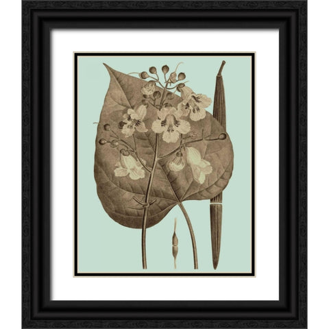 Flowering Trees II Black Ornate Wood Framed Art Print with Double Matting by Vision Studio