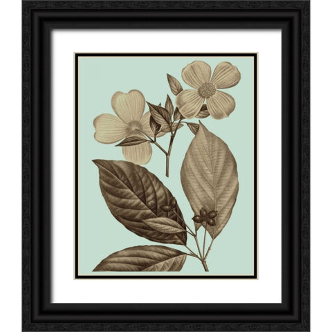 Flowering Trees III Black Ornate Wood Framed Art Print with Double Matting by Vision Studio