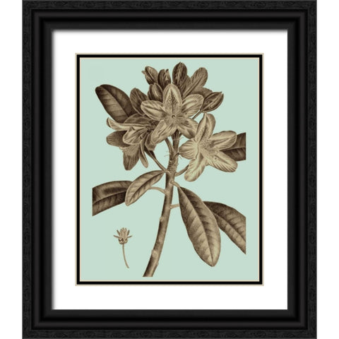 Flowering Trees IV Black Ornate Wood Framed Art Print with Double Matting by Vision Studio