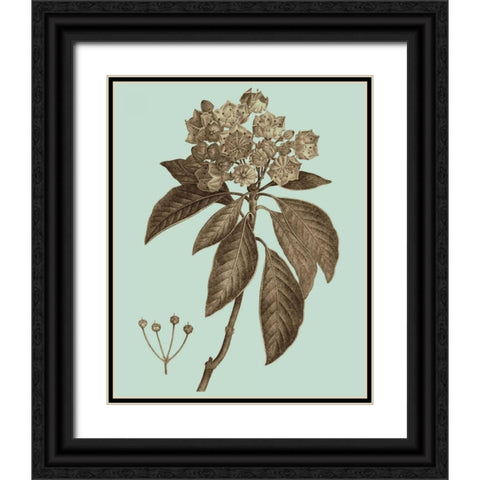 Flowering Trees V Black Ornate Wood Framed Art Print with Double Matting by Vision Studio