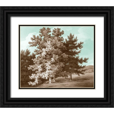 Serene Trees I Black Ornate Wood Framed Art Print with Double Matting by Kennion, Edward