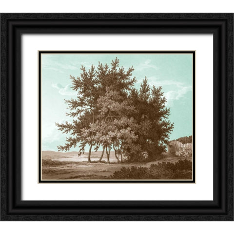 Serene Trees IV Black Ornate Wood Framed Art Print with Double Matting by Kennion, Edward