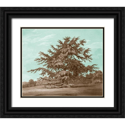 Serene Trees VI Black Ornate Wood Framed Art Print with Double Matting by Kennion, Edward