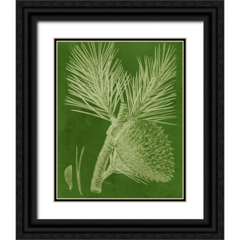 Modern Pine III Black Ornate Wood Framed Art Print with Double Matting by Vision Studio
