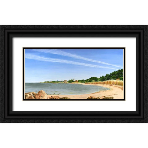 Contrails I Black Ornate Wood Framed Art Print with Double Matting by Miller, Dianne