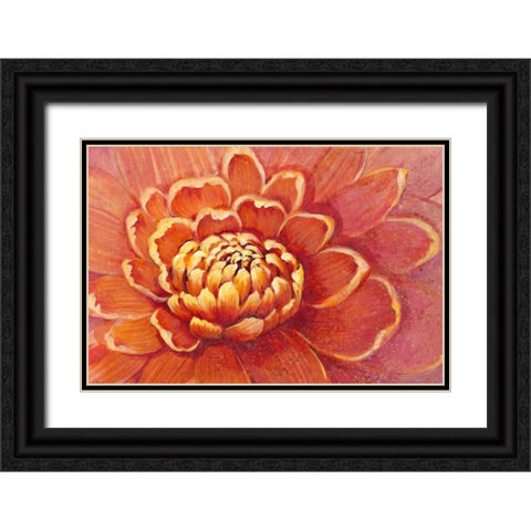 Micro Floral II Black Ornate Wood Framed Art Print with Double Matting by OToole, Tim