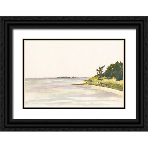 Solitary Coastline I Black Ornate Wood Framed Art Print with Double Matting by Miller, Dianne